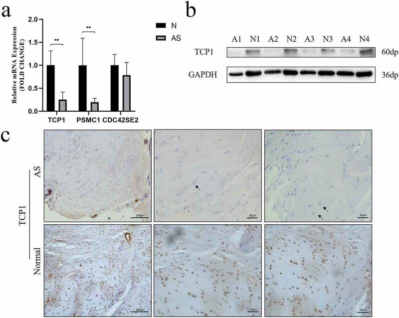 Figure 5.