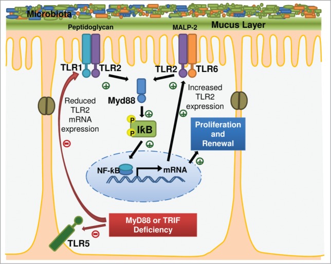 Figure 5.