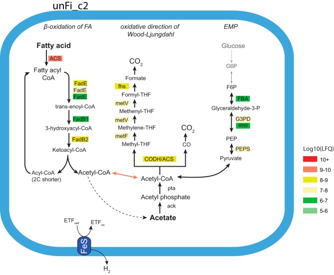 FIG 3