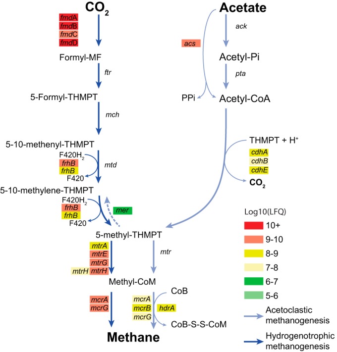 FIG 2