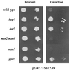 FIG. 8