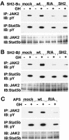 FIG. 11.