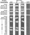 FIG. 8.