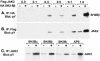 FIG. 10.
