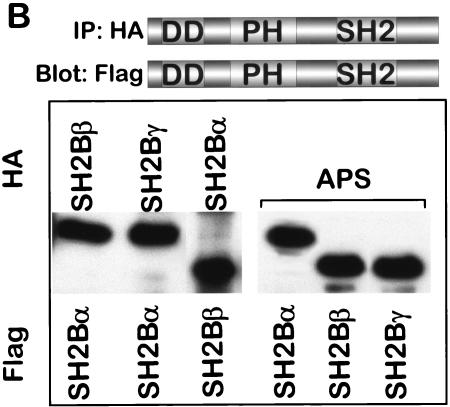 FIG. 6.