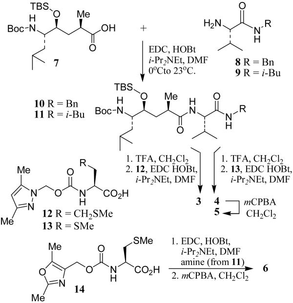 Scheme 1