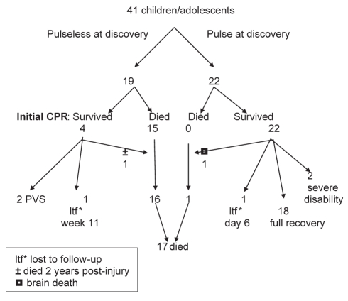 Figure 1)