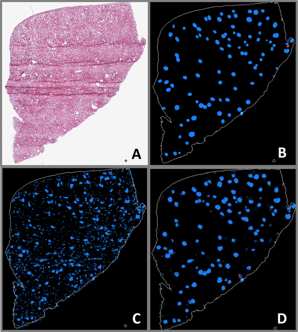 Fig. 6.