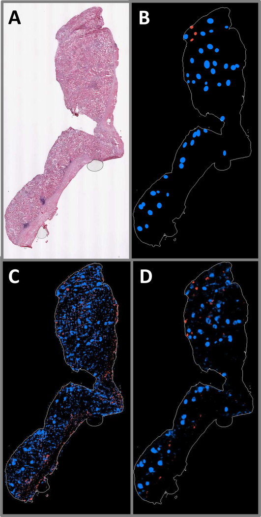 Fig. 7.