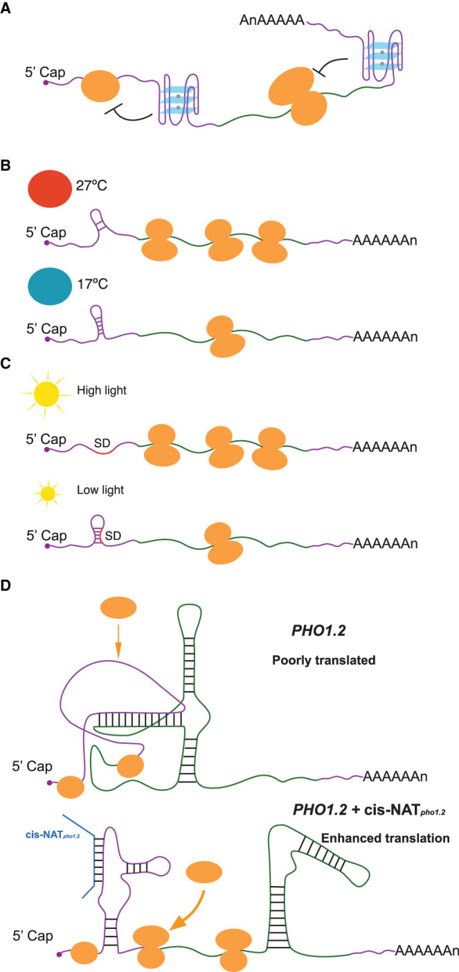 Figure 2.