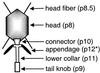 FIG. 1