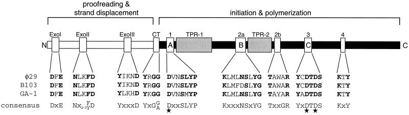 FIG. 5