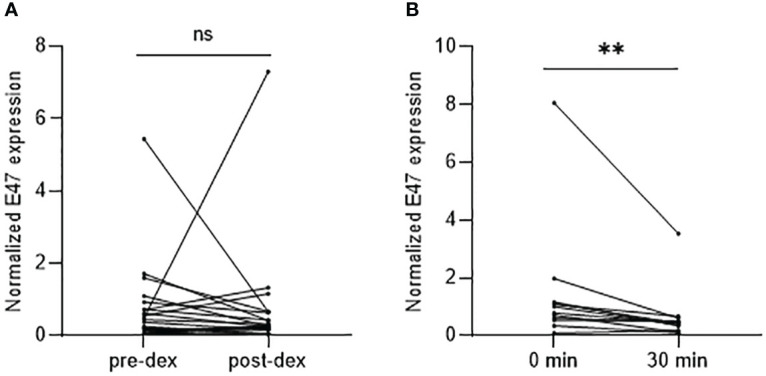 Figure 3