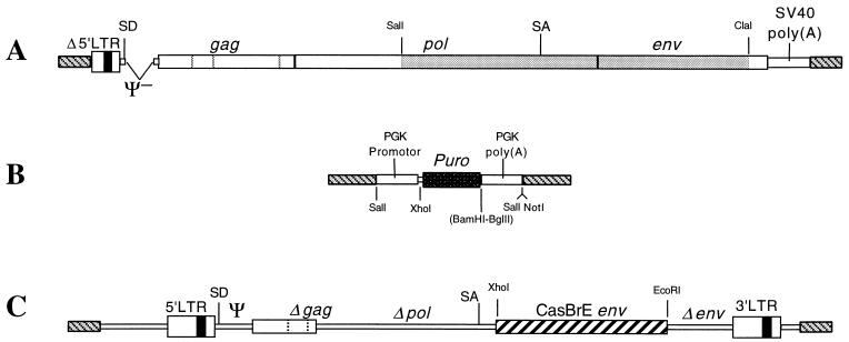 FIG. 1