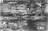 162-3