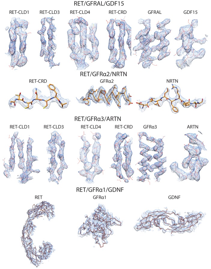 Figure 1—figure supplement 4.