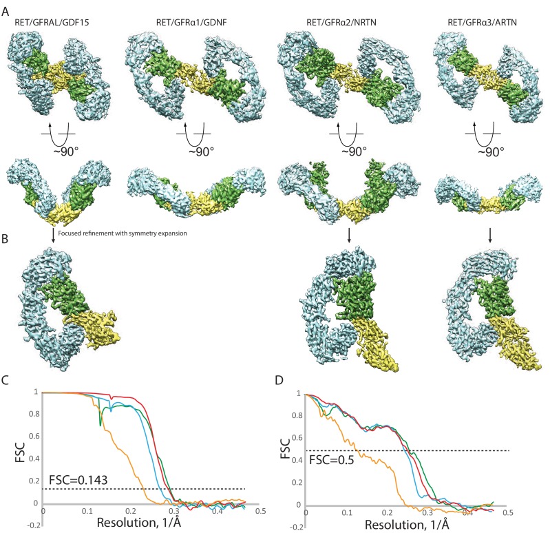 Figure 1—figure supplement 3.