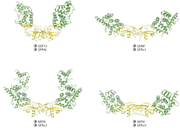 Figure 1—figure supplement 6.