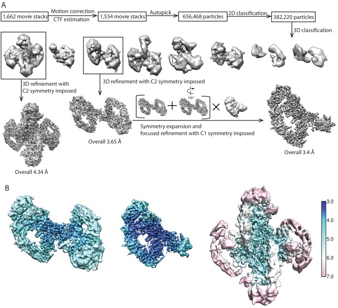 Figure 1—figure supplement 2.