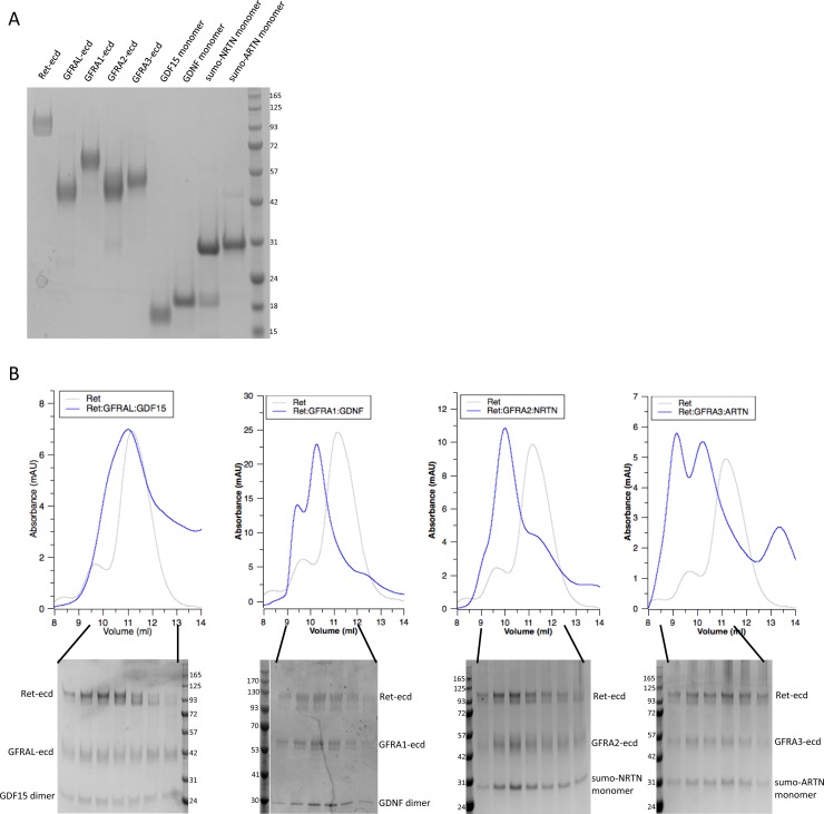 Figure 1—figure supplement 1.