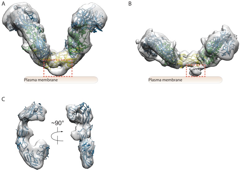 Figure 1—figure supplement 5.