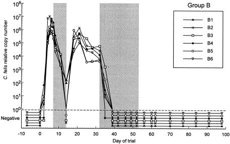 FIG. 2.