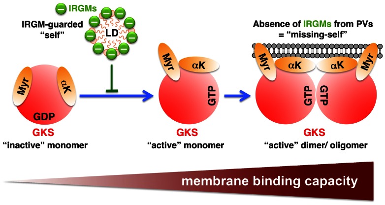 Figure 11