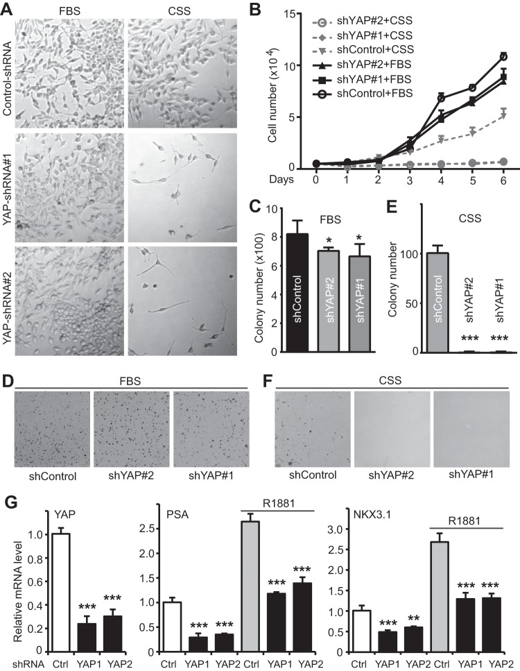 FIG 6