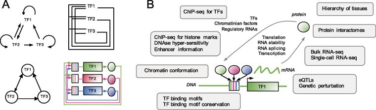 Fig. 1