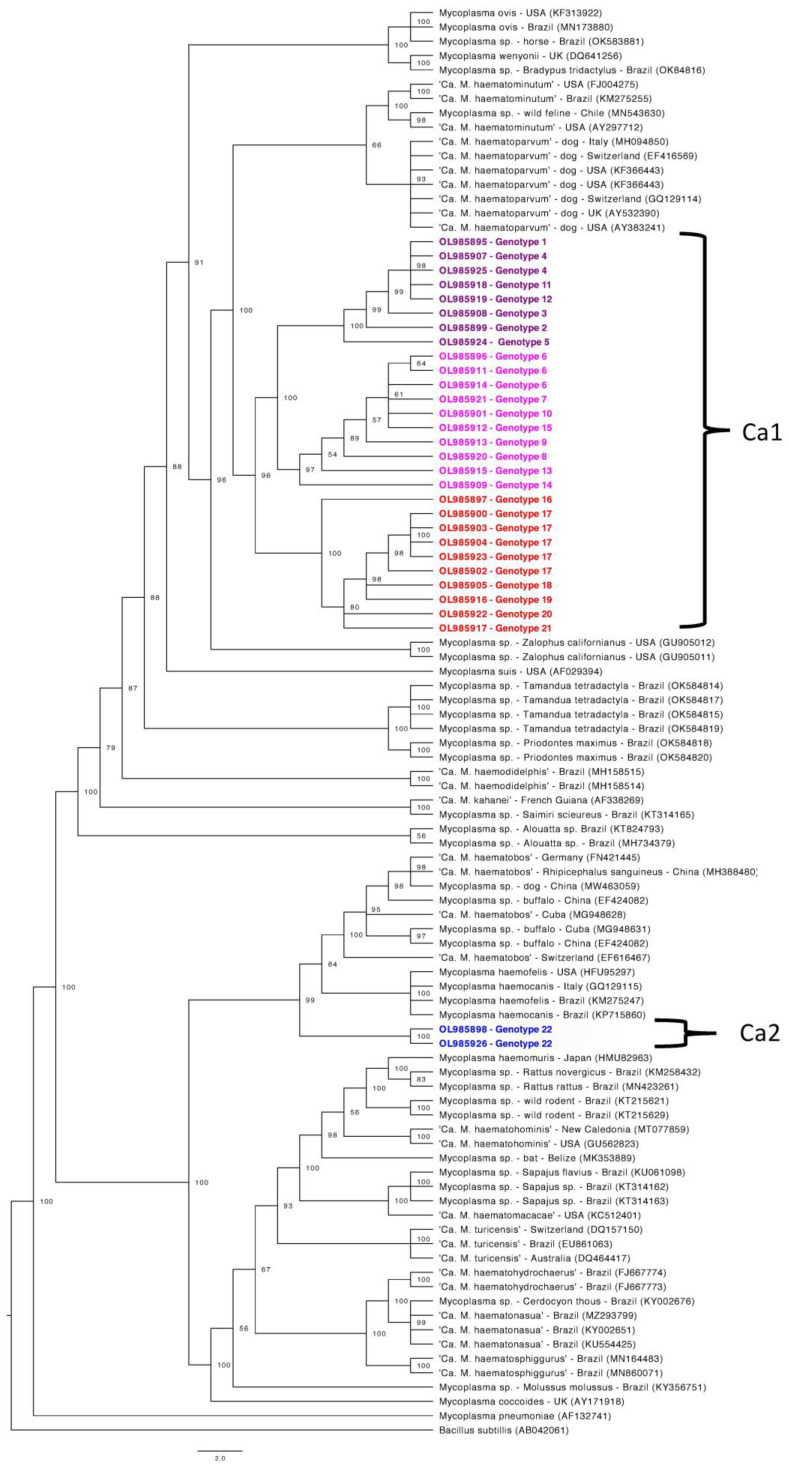 Figure 1