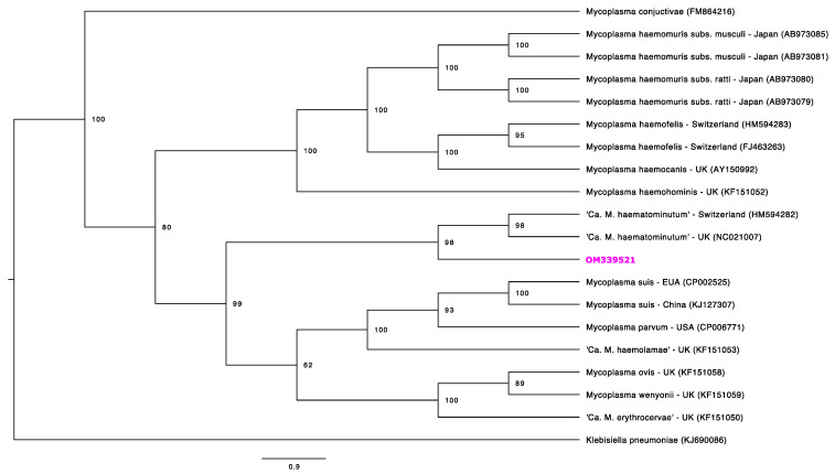 Figure 4