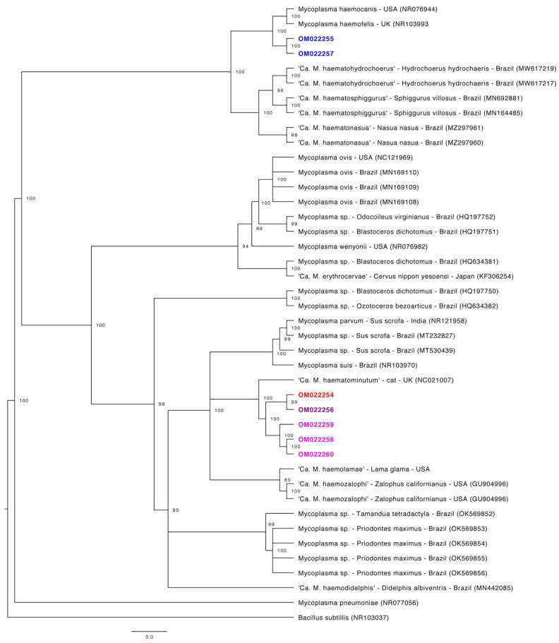 Figure 2