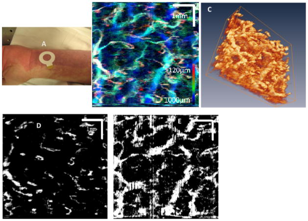 Fig. 2