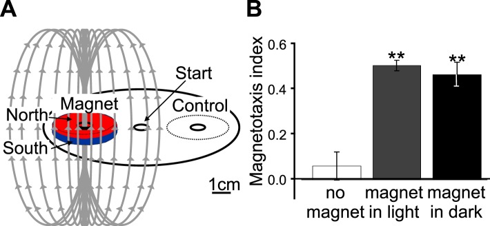 Figure 4—figure supplement 1.