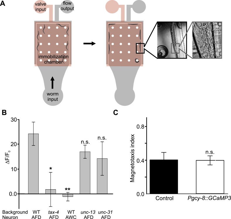 Figure 7—figure supplement 1.