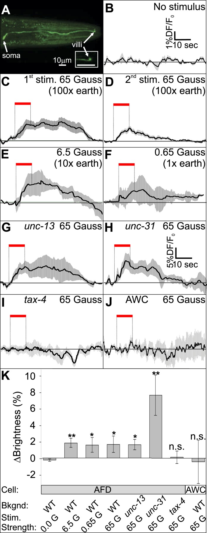 Figure 7.