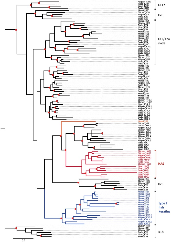 FIg. 3.