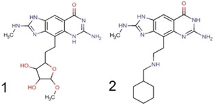 Scheme 2