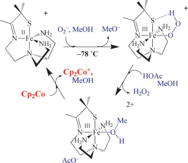 FIGURE 12