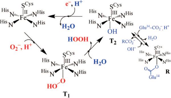 FIGURE 1