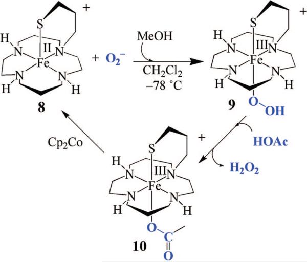 FIGURE 15