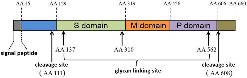 FIGURE 1