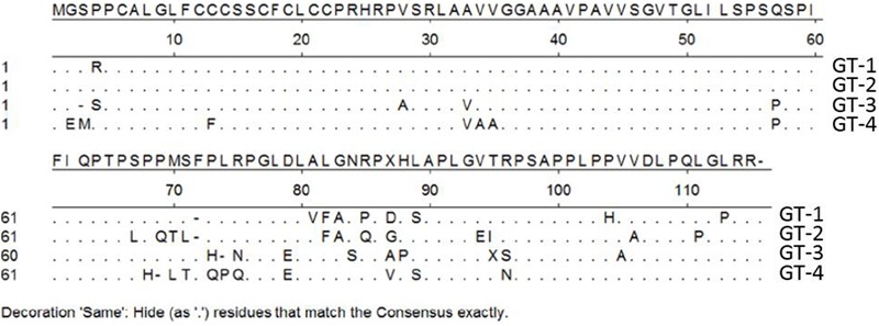 FIGURE 3