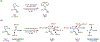 Scheme 6.