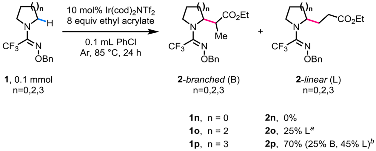 Scheme 4.