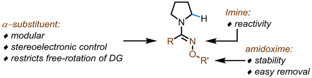 Scheme 3.