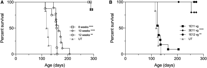 Figure 6