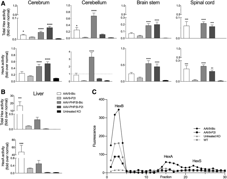 Figure 3