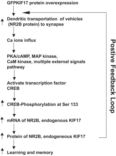 Fig 6.