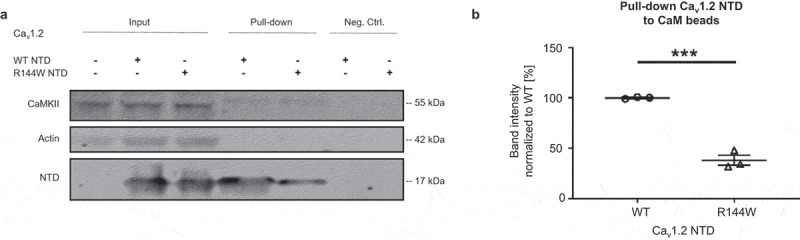 Figure 9.